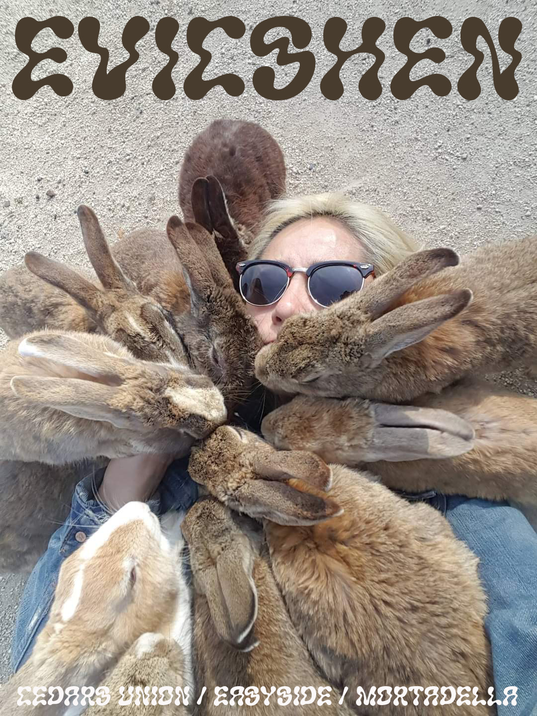 Evicshen performace promo image 2